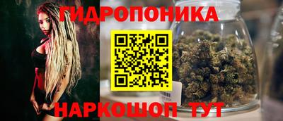 ECSTASY Моздок