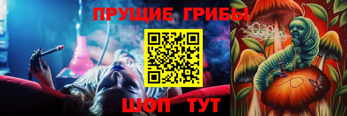 Волгодонск  Галлюциногенные грибы прущие грибы  Вход с VPN  Галлюциногенные грибы Psilocybe 