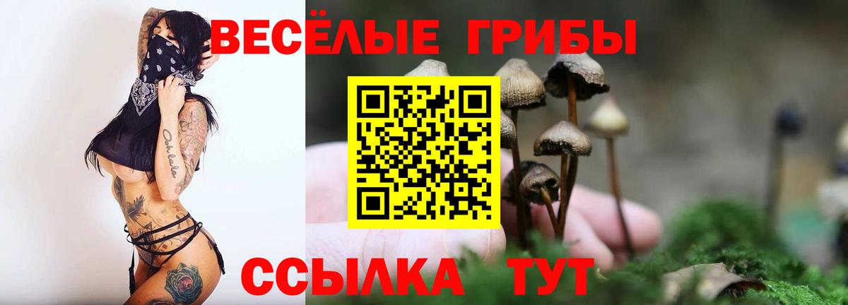 Галлюциногенные грибы ЛСД Волгодонск
